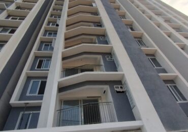 cordial paradise - work in progress