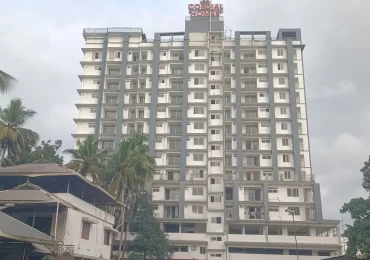cordial dev completed work - august